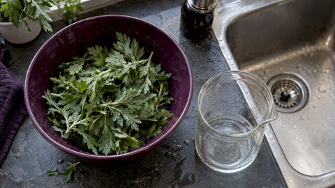 Mugwort Skincare Benefits: What the Research Shows - Lunara Cosmetics