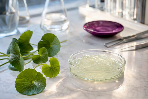 1% Centella Asiatica in 3 Weeks: How It Calms Sensitive, Reactive Skin - Lunara Cosmetics